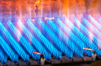 Wynford Eagle gas fired boilers